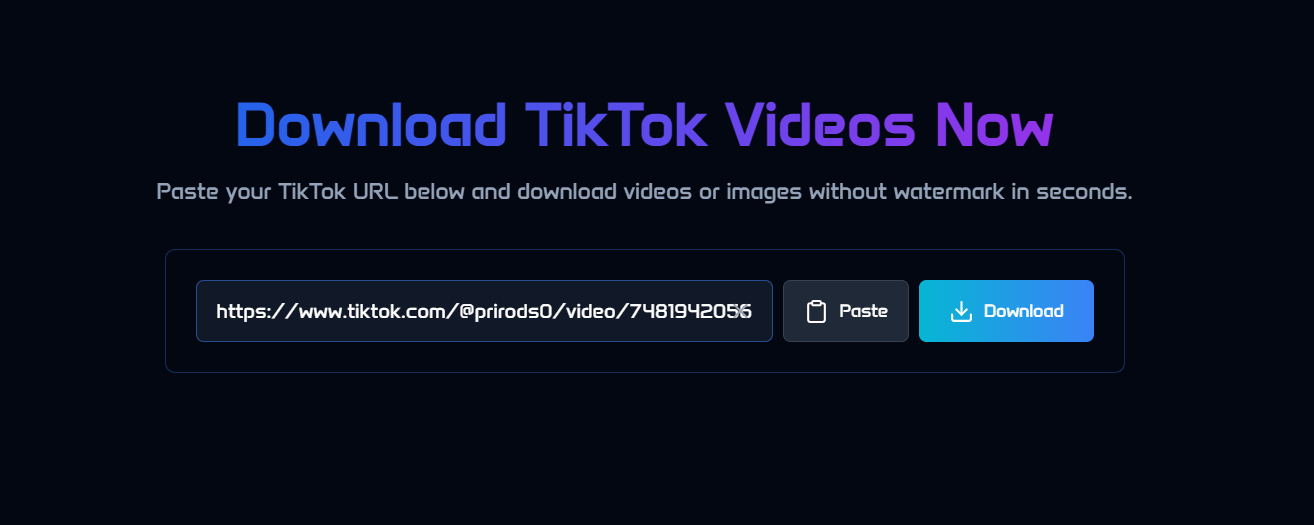 SnapTik MM Bot